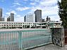 周辺：広島市立竹屋小学校？565m？