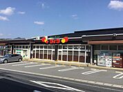 ショージ 八本松南店200m