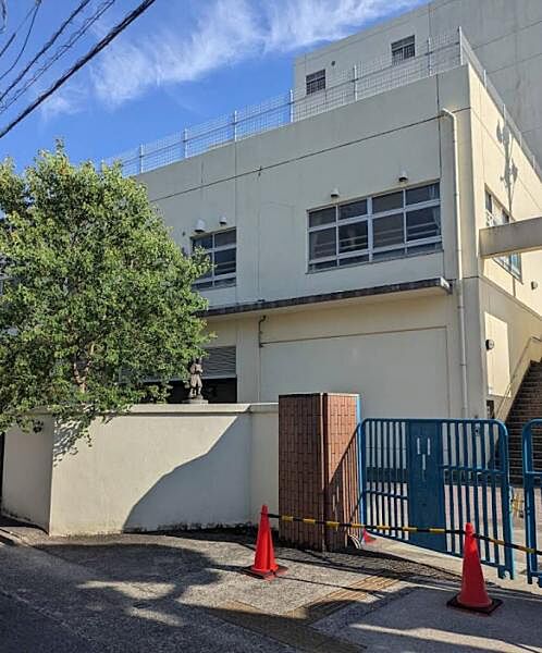 周辺を拡大表示