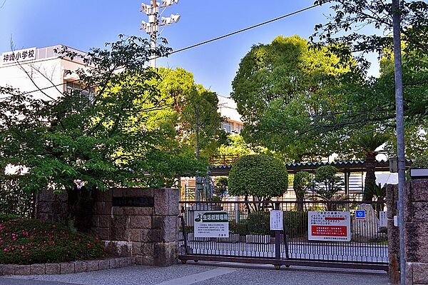 周辺を拡大表示