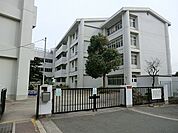 横浜市立小田小学校まで約570ｍ