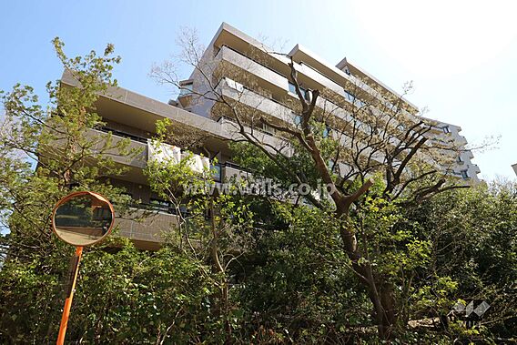 サザンヒル八事...