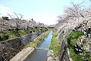 山崎川の外観