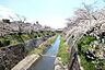 周辺：山崎川の外観