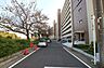 その他：敷地北側の前面道路