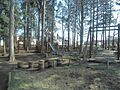 宇都宮記念公園...