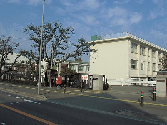 座間市立座間中...