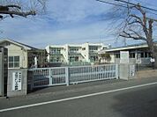 スミレ幼稚園521m