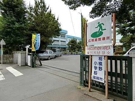 座間市立相模野小学校1300m