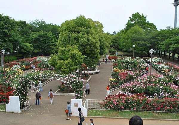 周辺を拡大表示
