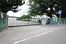 周辺：大和市立緑野小学校960m