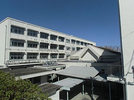 横浜市立希望が丘中学校500m