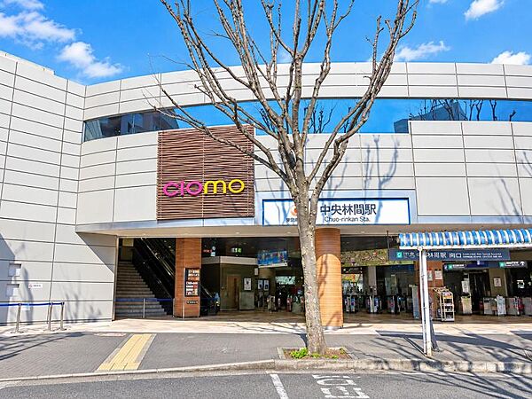周辺を拡大表示
