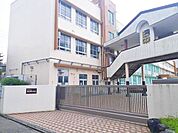 日比野中学校 800m
