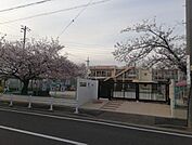 五反田幼稚園■新園舎では、こどもたちの健康面を第一に考え、床は全面肌に良い無垢材を採用しました。中庭から差し込む穏やかな日差しは開放的で明るく、心地よさを追求した空間です。 550m