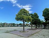 南本町公園■緑いっぱいの自然に囲まれた公園です。お父さんの休日には運動用具をもってキャッチボールしたり、サッカーしたりと幅広い遊びを可能にしてくれます。 1000m