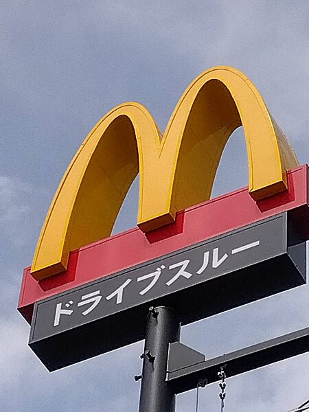 画像20:【ファーストフード】マクドナルド 久留米サンリブ店まで834ｍ