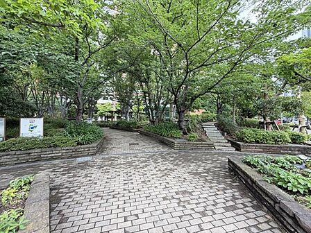 49階建・10階部分。74m2の3LDK住戸です。是非お気軽にお問い合わせください。
