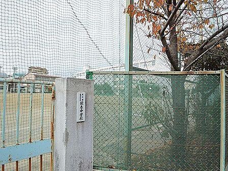 世田谷区立弦巻中学校まで約973m
