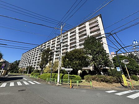 現地(2026年10月)撮影