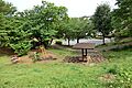 鎌谷町公園 4...