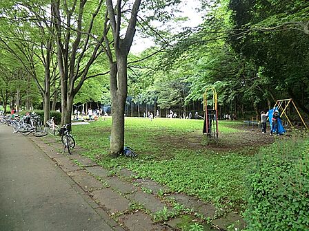 大貫谷公園 250m