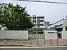 周辺：長津田保育園1200ｍ