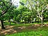 周辺：神の木公園650m