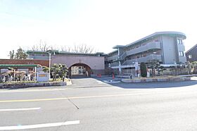 千葉県流山市大字東深井182-1（賃貸マンション1K・2階・19.76㎡） その1