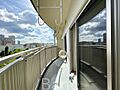 日照も良く、外...