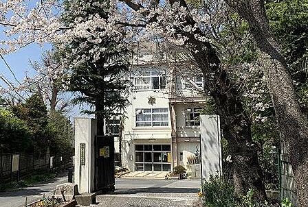 船橋市立葛飾小学校(約1200m)