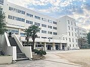 船橋市立薬円台南小学校（約600m）