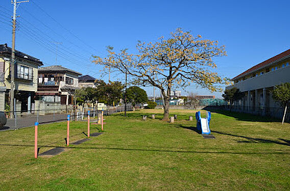 八幡のびのび公...