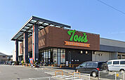 トウズ 八街店（約1100ｍ）