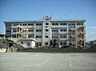 周辺：千葉市立桜木小学校（約500m）