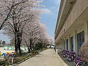 船橋市立大穴小学校（約400ｍ）