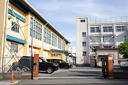 市川市立富美浜小学校（約600m）