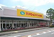 ランドロームフードマーケット 都賀店（約400m）