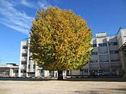 船橋市立塚田小学校（約750m）