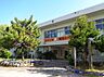 周辺：習志野市立袖ケ浦西小学校（約700ｍ）