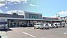 周辺：【スーパー】FUJI(フジ)　白島店まで407ｍ