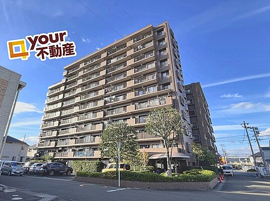 外観 ナイスアーバンステイツ南仙台 3階/-