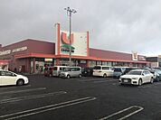 ユニバース 三沢堀口店 590m
