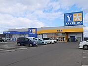 薬王堂 八戸尻内店 550m