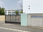八戸市立桔梗野小学校 240m