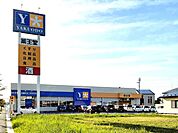 薬王堂 八戸新井田店 1130m