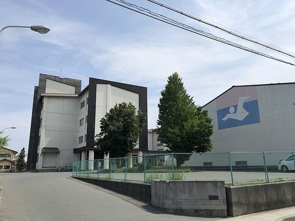 Image 7