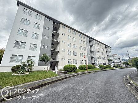 エリアの特性や周辺環境についての情報提供も行っています。物件だけでなく、地域の暮らしやすさも含めてご確認いただけます