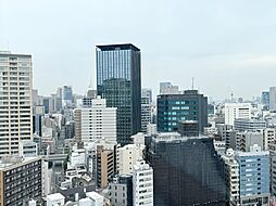 東側の眺望、遠くにスカイツリーも見えます。