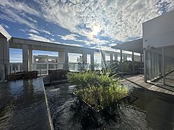 海と空に包まれる屋上空間。自分だけの贅沢な時間がここにあります。